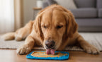 Dog playing with a blue toy on a wooden floor in a living room.