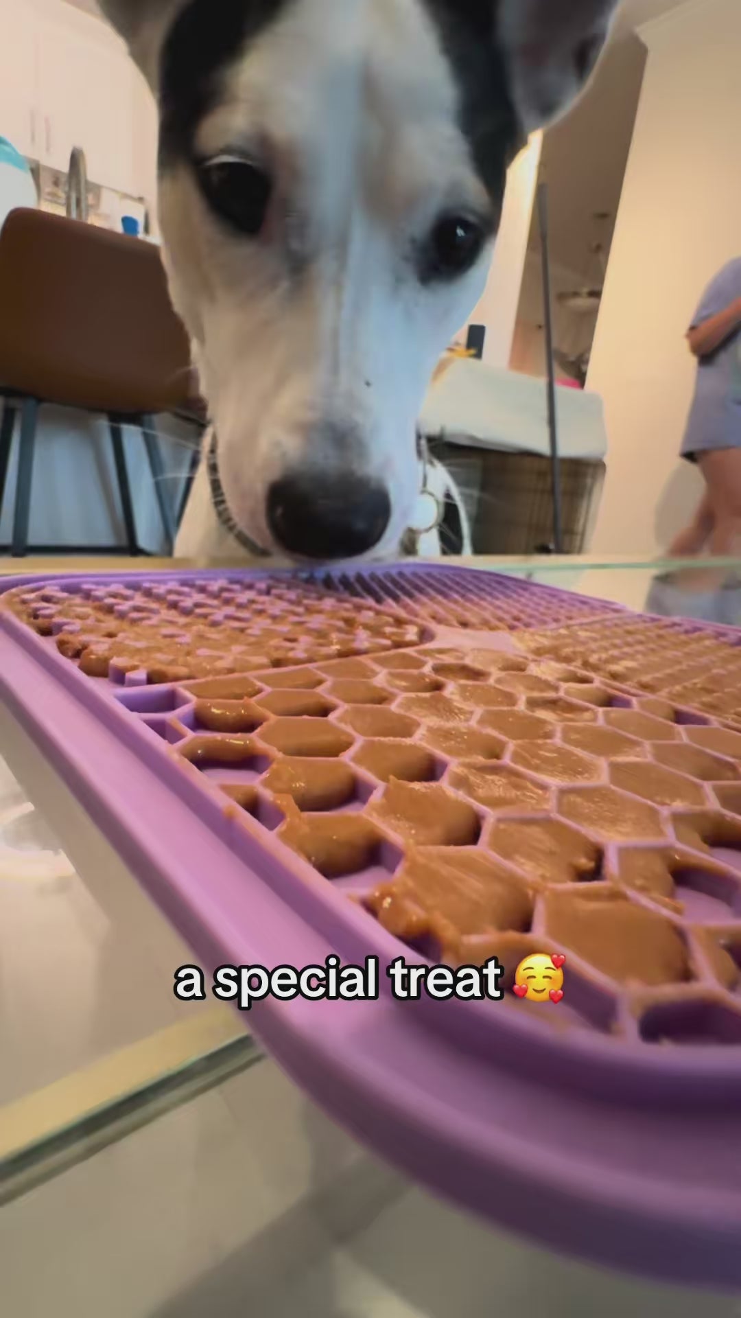Aroovie Lick Mat – Calming Slow Feeder for Dogs & Cats